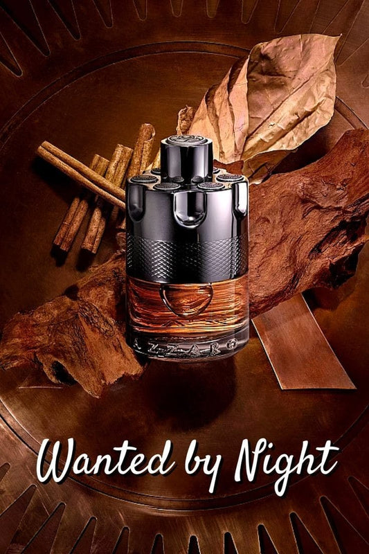 Azzaro Wanted By Night Luxury Men's Perfume